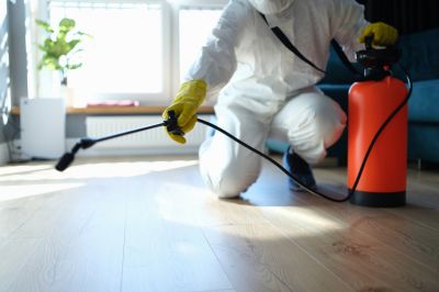 Cost of Pest Control in Bonham, TX